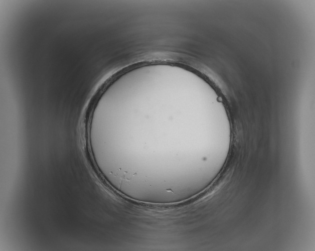 X0000111841075200907231034
