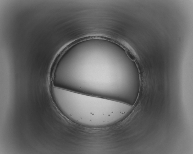 X0000111841076200907231034