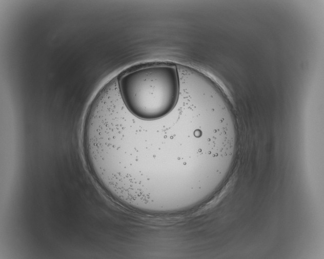 X0000111841077200907231034