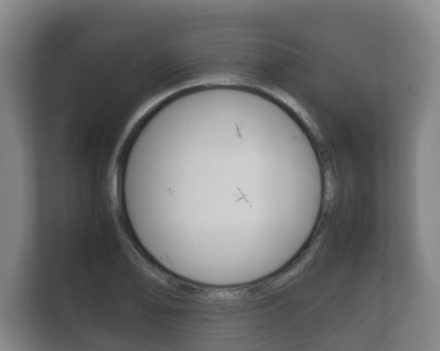 X0000111841078200907231034