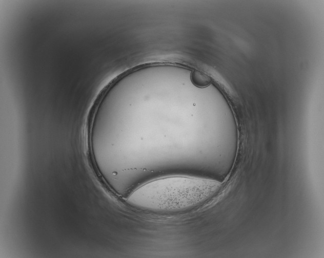 X0000111841079200907231034