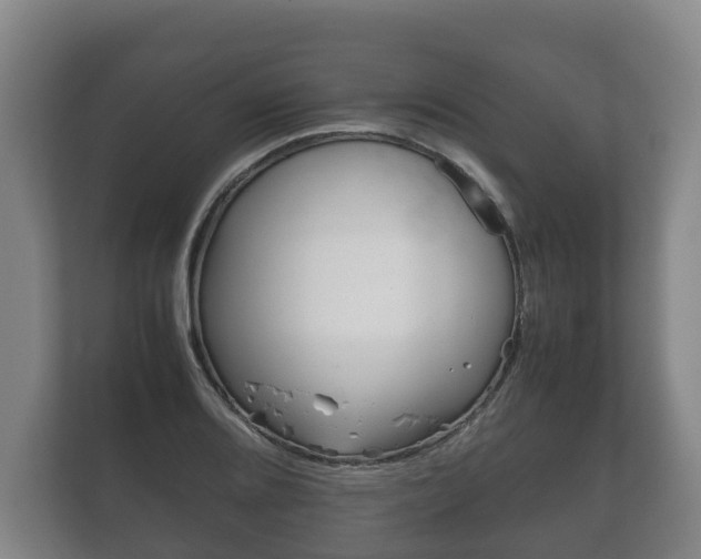 X0000111841080200907231034