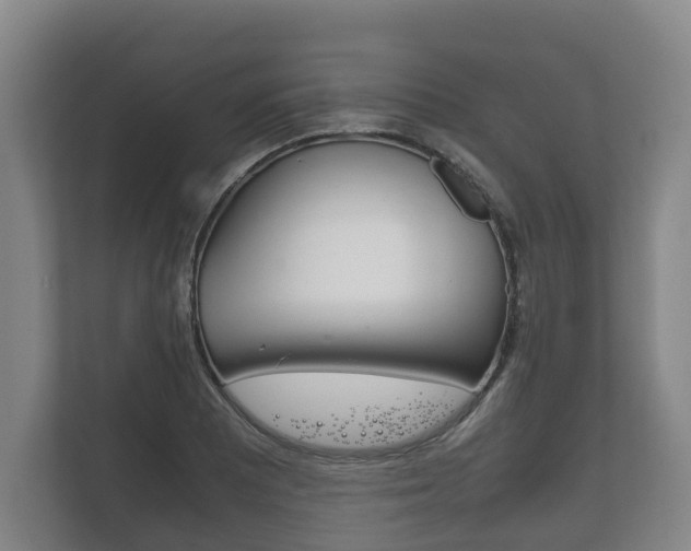 X0000111841081200907231034