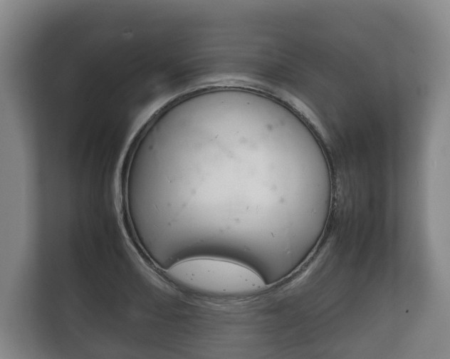 X0000111841082200907231034