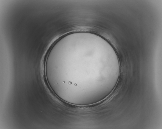 X0000111841083200907231034