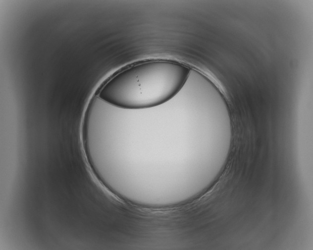X0000111841084200907231034