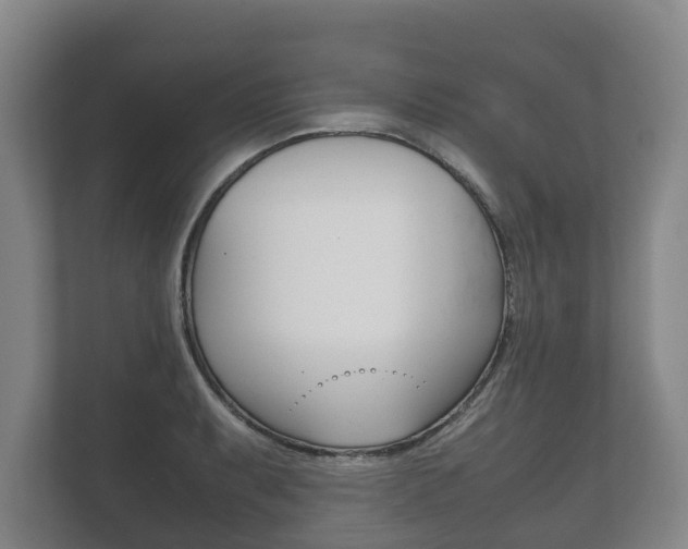 X0000111841087200907231034