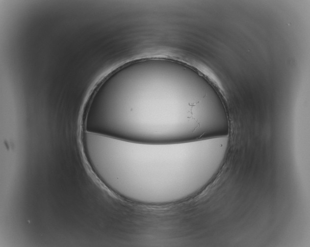 X0000111841088200907231034