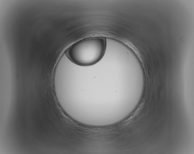 X0000111841089200907231034