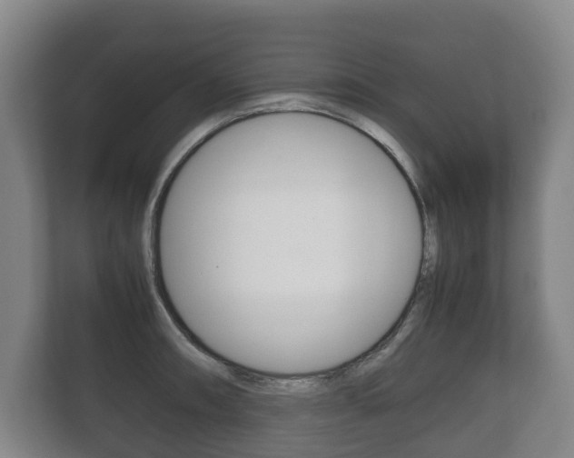 X0000111841090200907231034