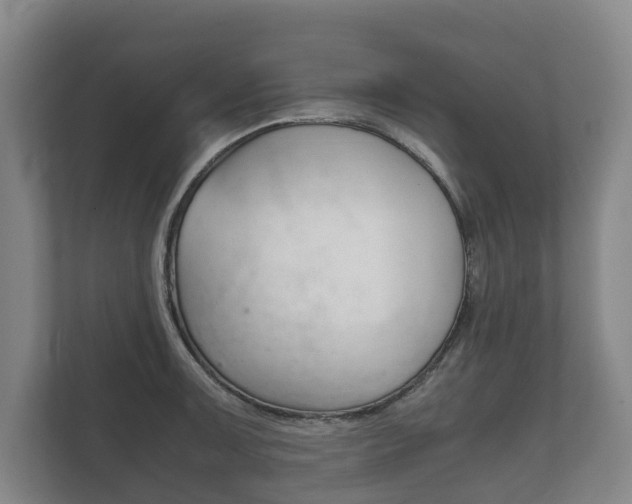 X0000111841091200907231034