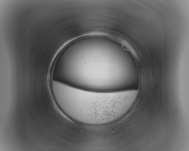 X0000111841092200907231034