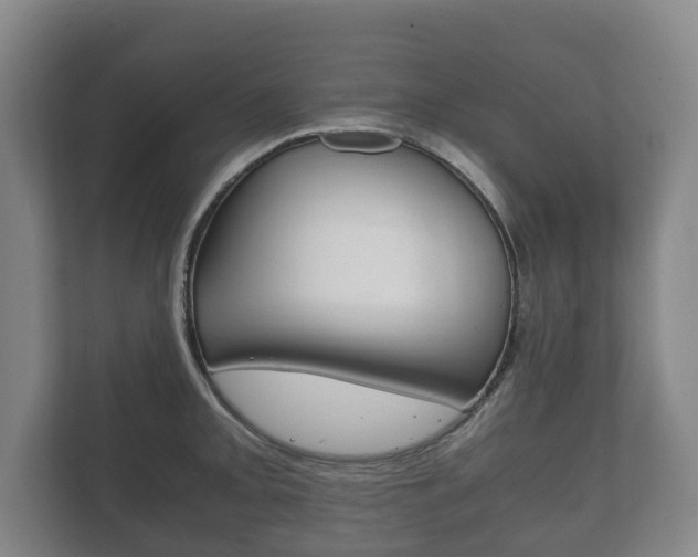 X0000111841093200907231034