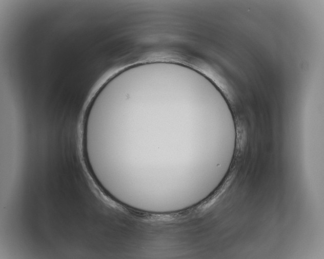 X0000111841094200907231034