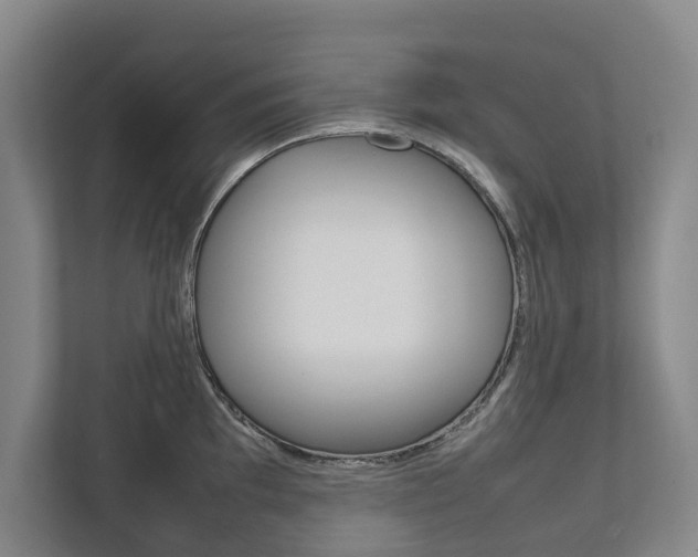 X0000111841097200907231034