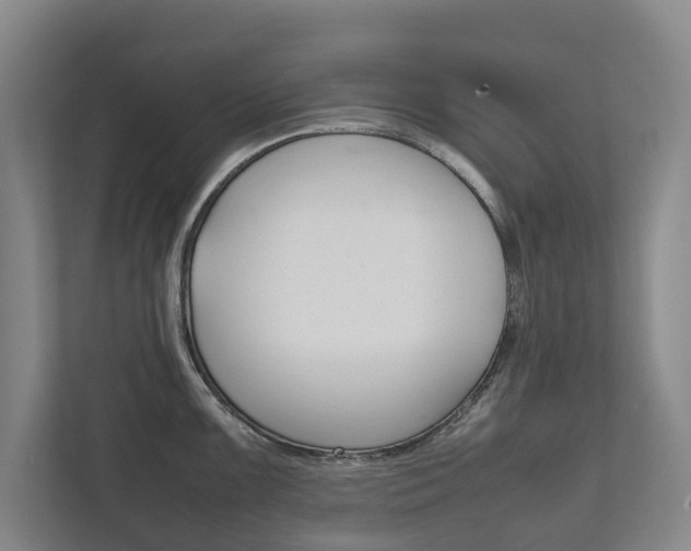 X0000111841099200907231034