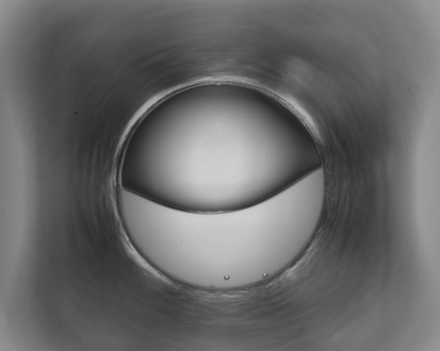 X0000111841100200907231034