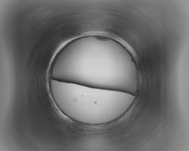 X0000111841102200907231034