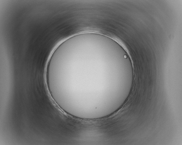 X0000111841104200907231034
