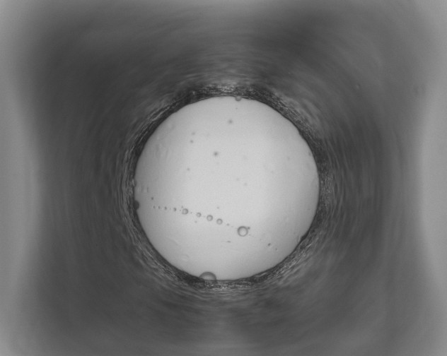 X0000111841105200907231033