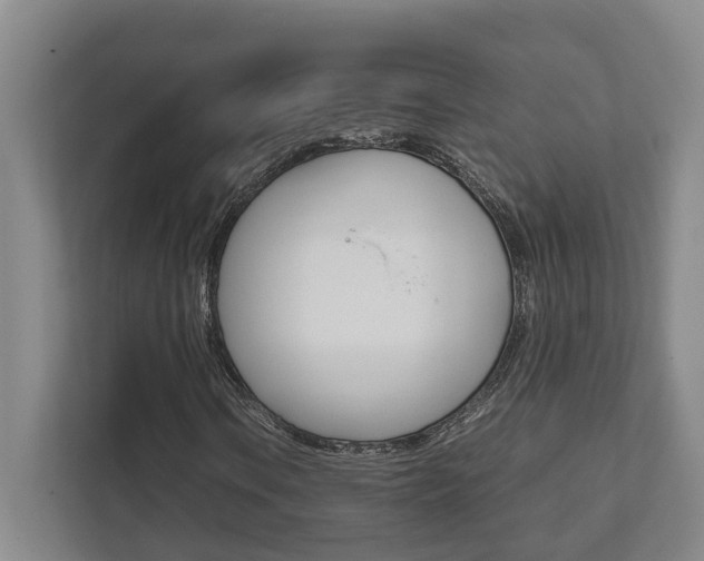 X0000111841106200907231033