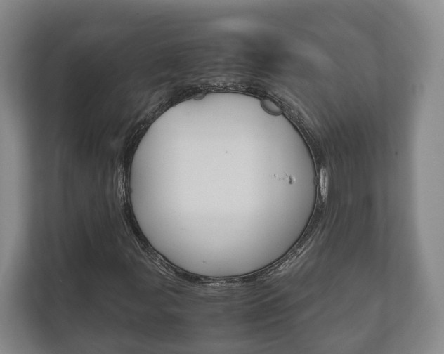 X0000111841107200907231033