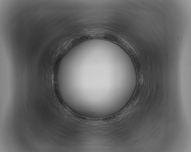 X0000111841108200907231033