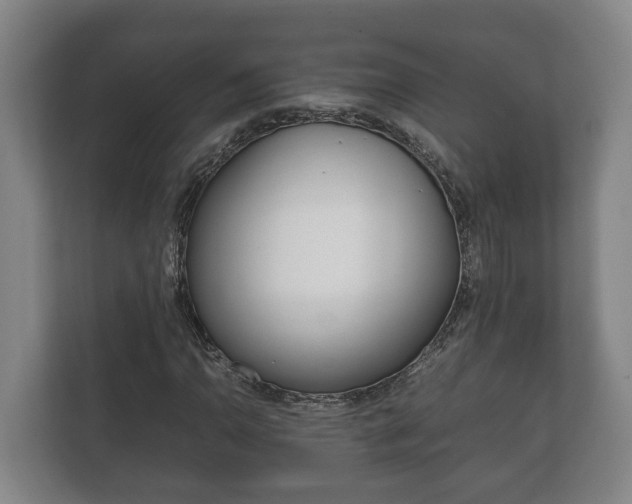 X0000111841110200907231033