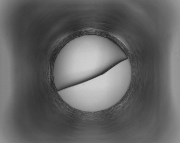 X0000111841111200907231033