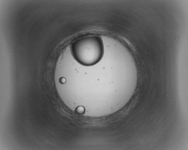 X0000111841112200907231033