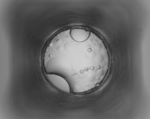 X0000111841113200907231033