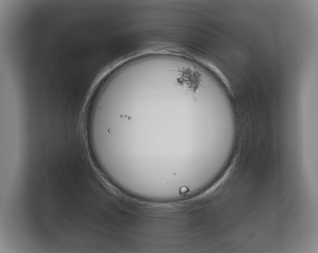 X0000111841114200907231033