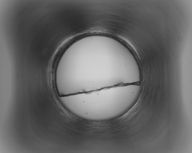 X0000111841115200907231033