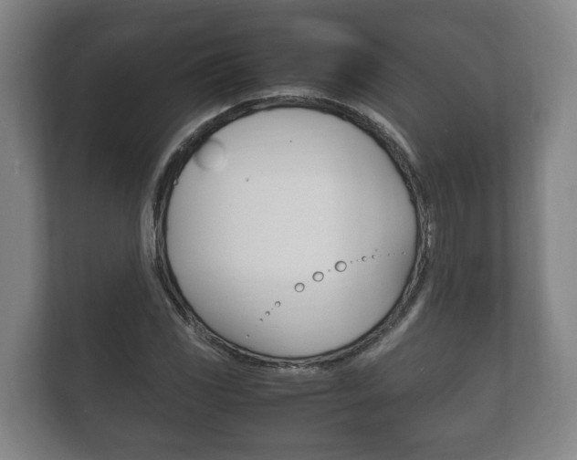 X0000111841117200907231033
