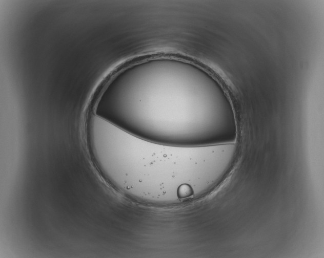X0000111841118200907231033
