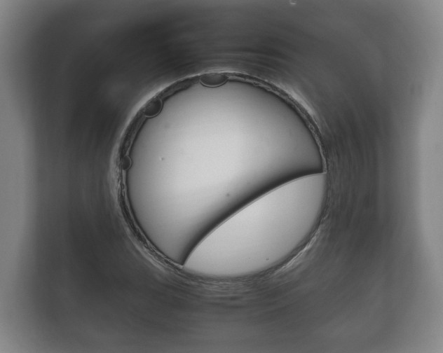 X0000111841119200907231034