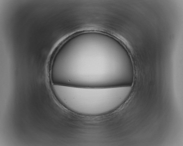 X0000111841120200907231034