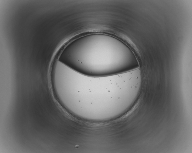 X0000111841122200907231034
