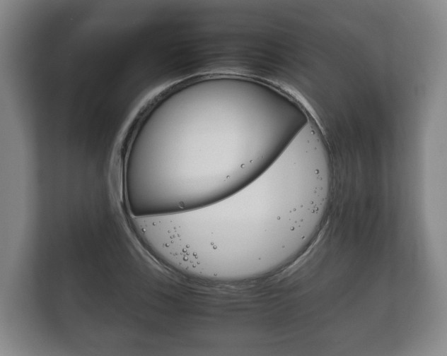 X0000111841123200907231034