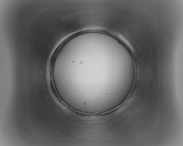 X0000111841124200907231034