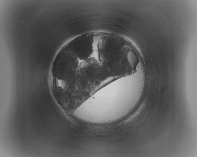 X0000111841125200907231034
