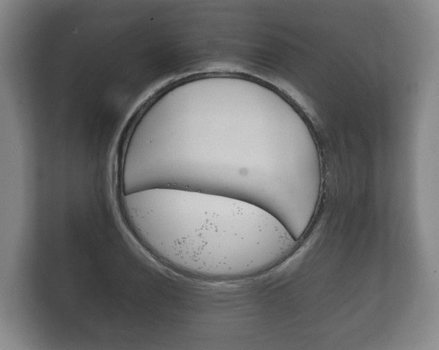 X0000111841126200907231034