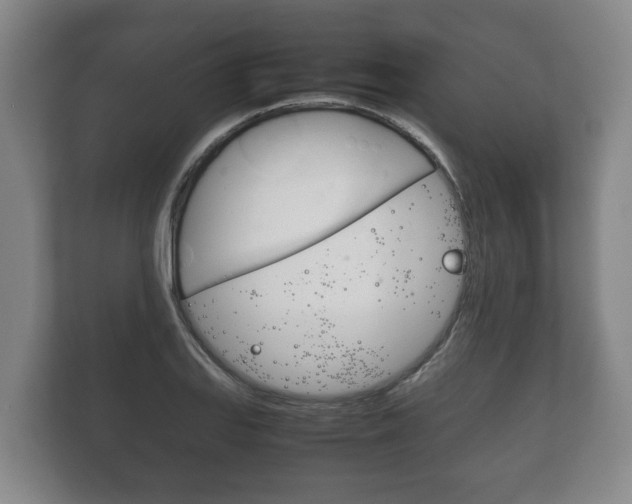 X0000111841127200907231034