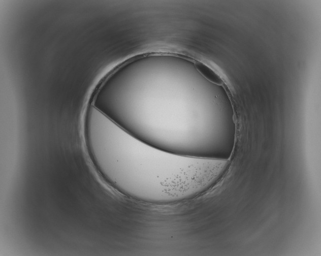 X0000111841128200907231034