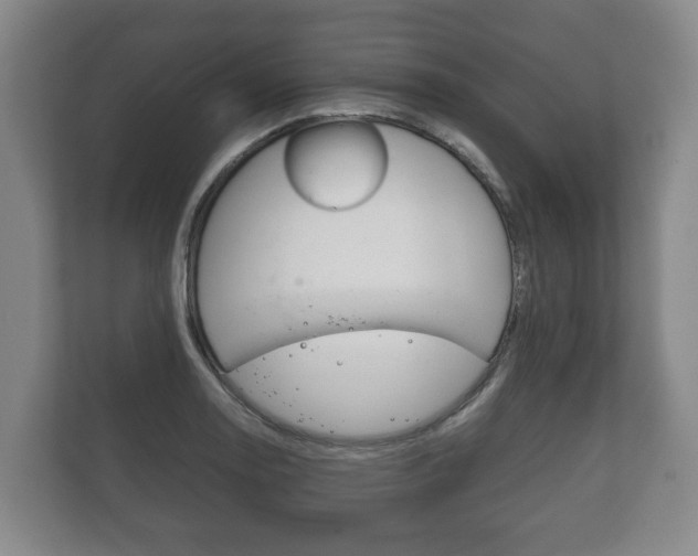 X0000111841130200907231034