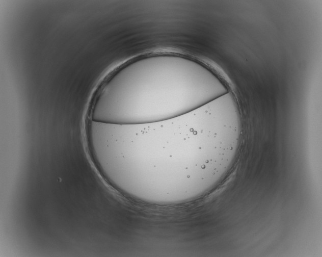 X0000111841133200907231034