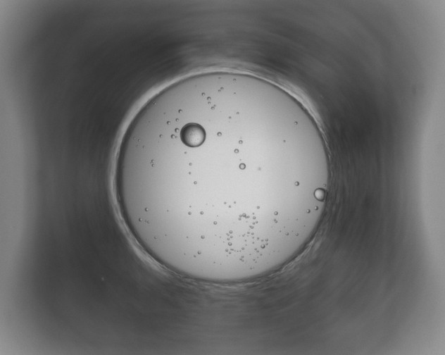 X0000111841136200907231034