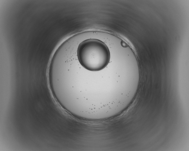 X0000111841138200907231034