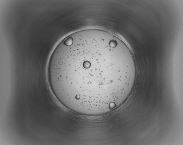 X0000111841140200907231034