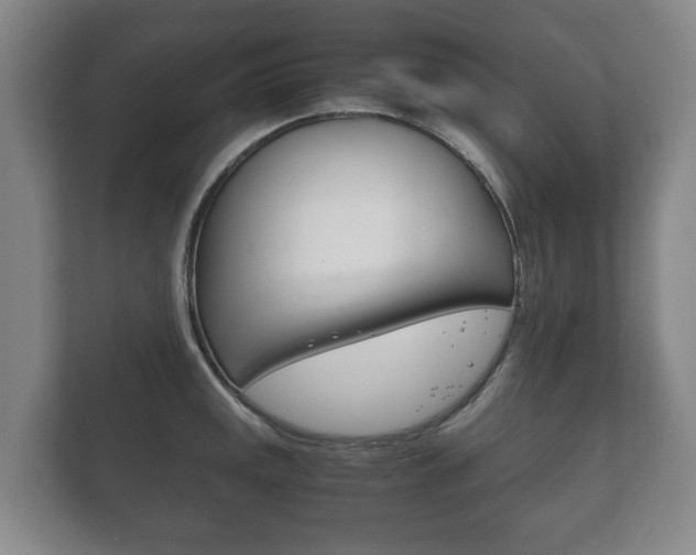 X0000111841141200907231034